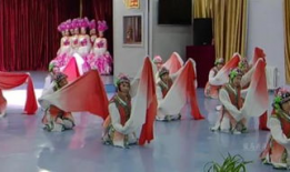 水袖舞蹈视频,古典舞之美，一袖间流转千年风情